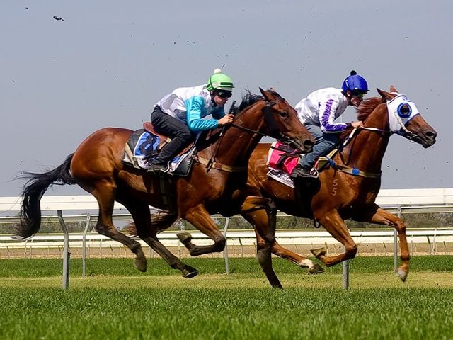 Melbourne Cup