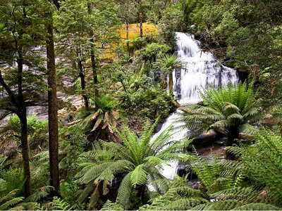 Triplet Falls