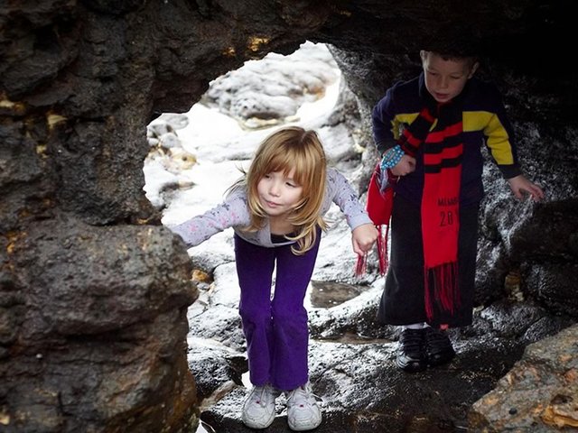 Exploring at Aireys Inlet