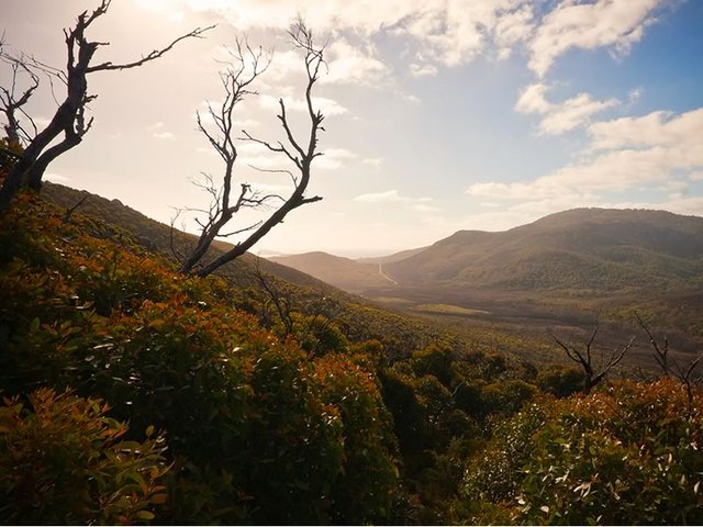 View from the Telegraph Saddle Viewing Platform