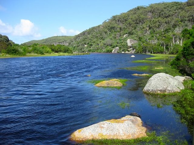Tidal River