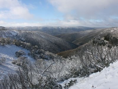 View to Mt Hotham