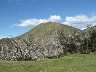 The Three Peaks of Mt Feathertop