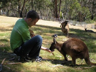 Cleland Conservation Park