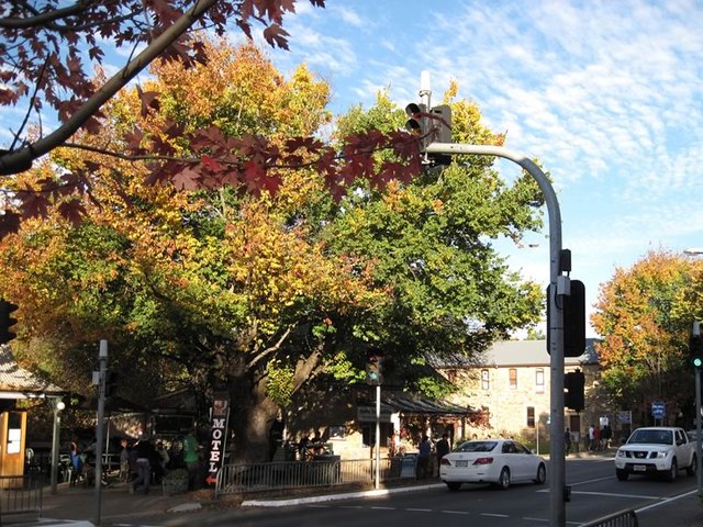 Pretty Hahndorf