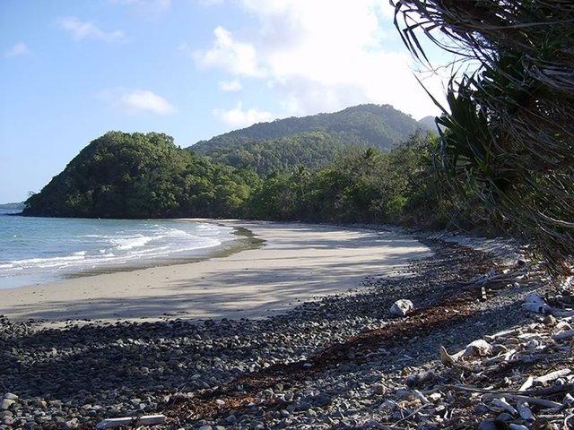 Cape Tribulation