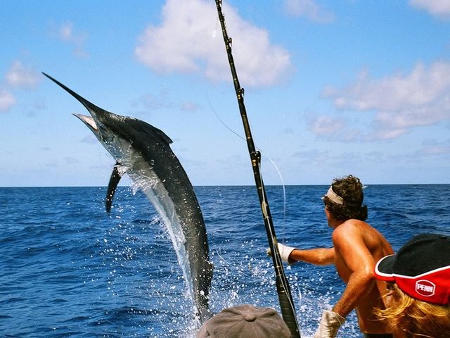Marlin Fishing