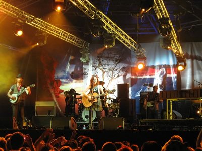 Blues and Roots Festival