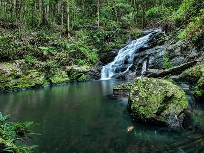 Kondalilla Falls