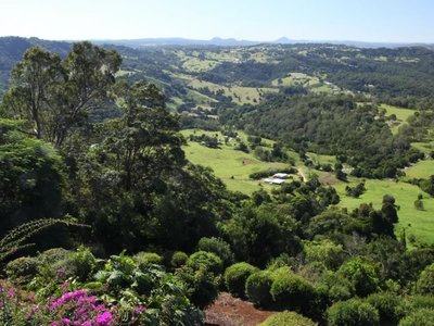 Montville Hills Behind the Sunshine Coast