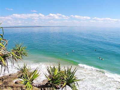 Surfers in Noosa National Park