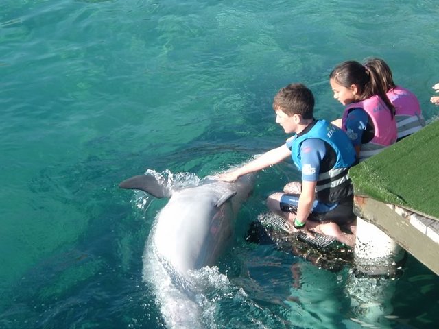 Sea World
