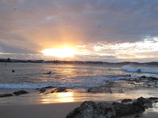 Surfers at Sunrise on Currumbin Beach