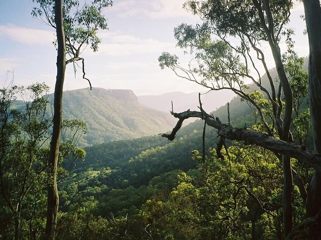 Lamington National Park, Gold Coast Hinterland