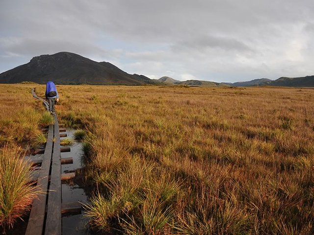 Southwest National Park, Tasmania