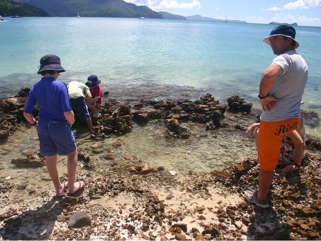 Combing for Hermit Crabs at Hill Inlet