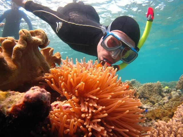 Snorkelling!