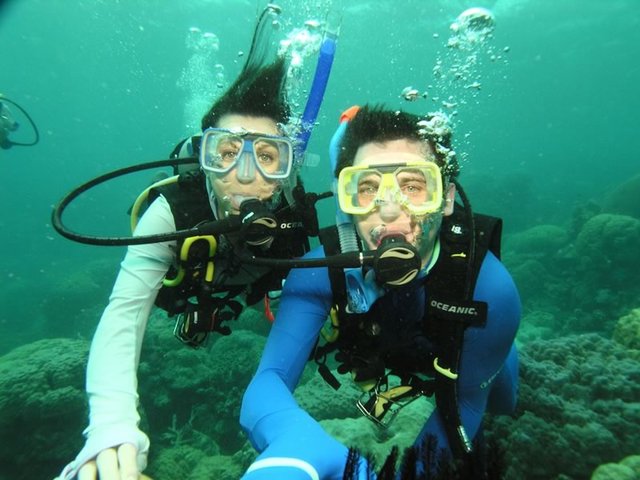 Diving at the Great Barrier Reef