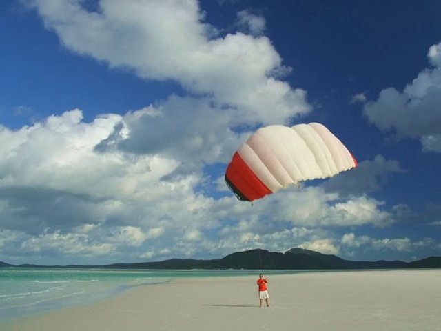 Kite on Whitehaven Beach
