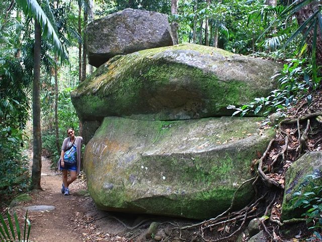 Eungella National Park