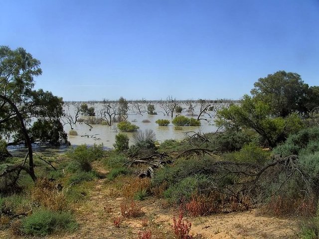 Lake Menindee