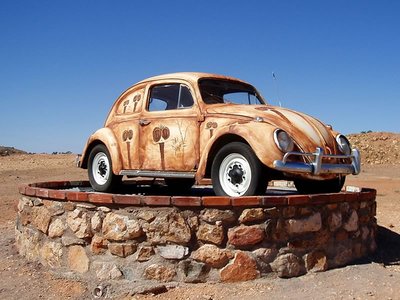 Beetle Painted by Peter Browne, Silverton