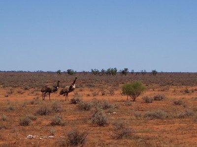 Broken Hill Landscape