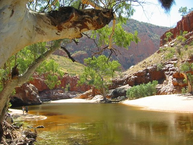 Waterhole in the West MacDonnell Ranges