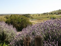 Barossa Valley