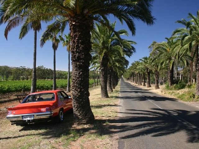 Vintage Monaro on Seppeltsfield Road
