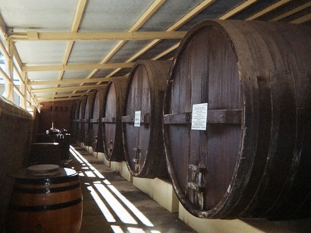 Wine Barrels at Seppeltsfield Winery