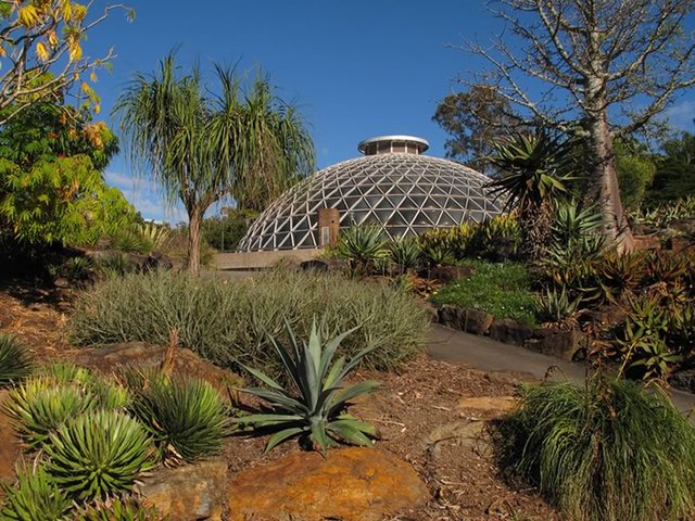 Tropical Dome, Mt Coot-tha Botanical Gardens