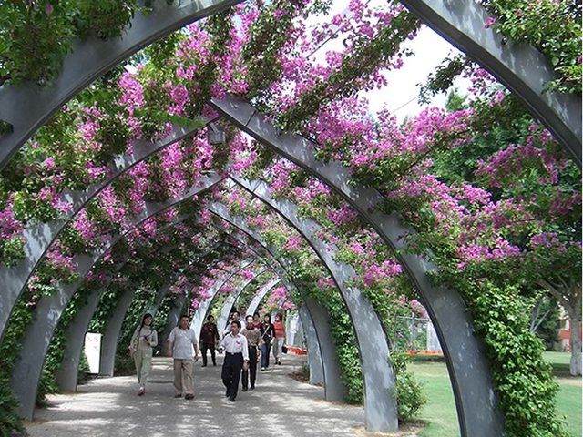 South Bank