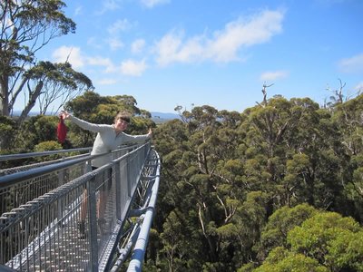 Valley of the Giants Tree Top Walk 