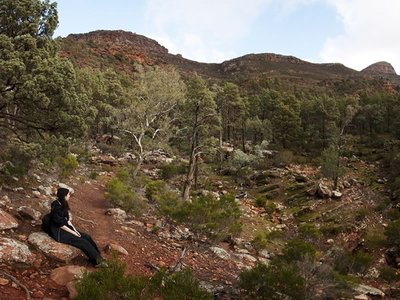 Track to St Marys Peak, Wilpena Pound