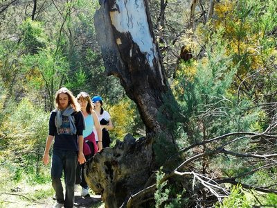 Hiking to Alligator Gorge, Mount Remarkable National Park