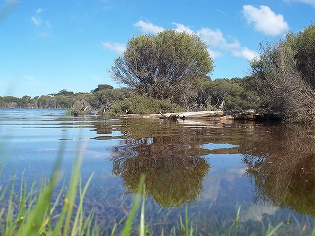 Lashmar Lagoon, Lashmar Conservation Park