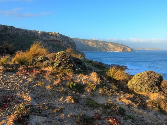 Flinders Chase National Park