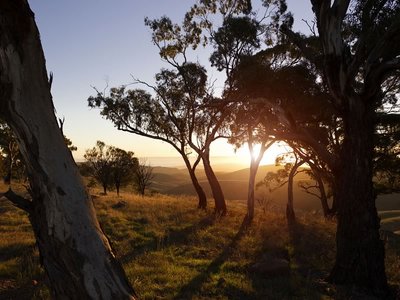 Just outside Port Augusta