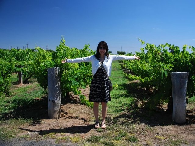 Coonawarra Vines