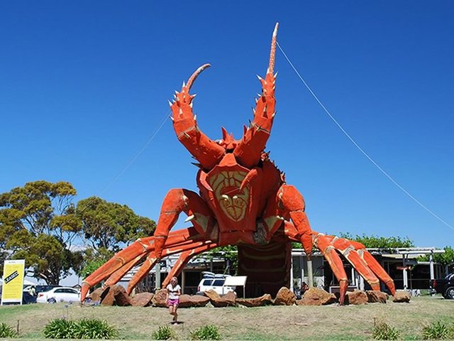 Larry the Lobster, Kingston SE