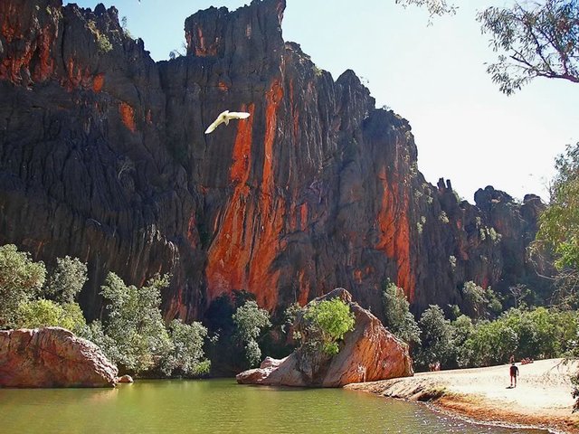 Windjana Gorge