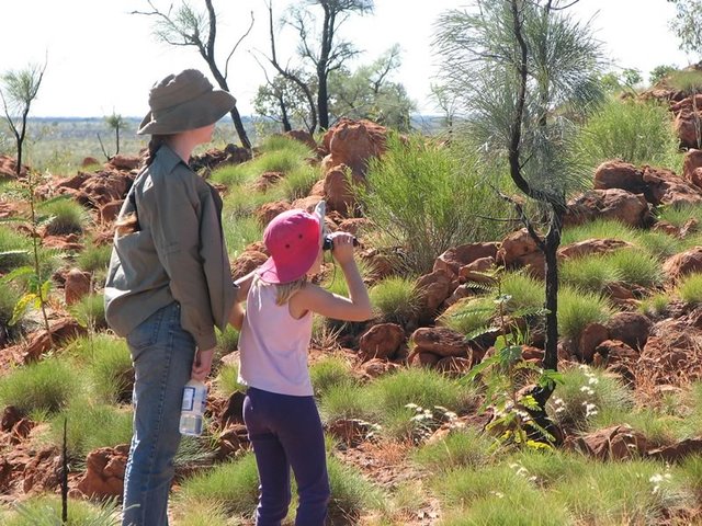 Wildlife Spotting, Wolfe Creek Crater