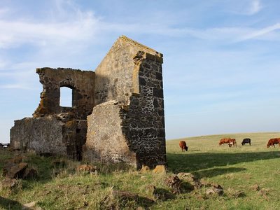 Countryside Near Stanley