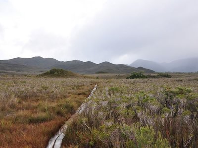South Coast Track, Southwest National Park